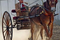 Hells Canyon Mule Days Driving