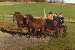 Platform Spring Wagon