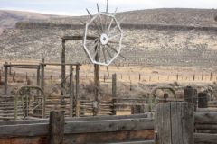 Beef Wheel 3