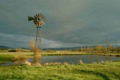 Ranch Collection