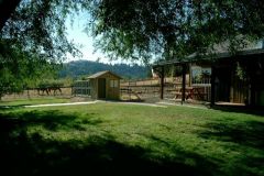 Kennel
