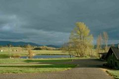 Pond