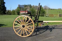 Swan Cart 2