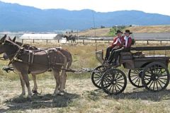 Roberts Wagonette