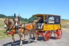 Butcher's Wagon 2